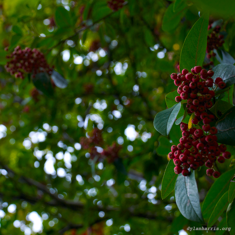 image: unlabelled image