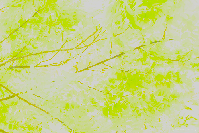 image: unlabelled image