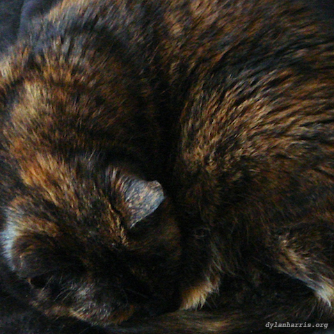 image: unlabelled image