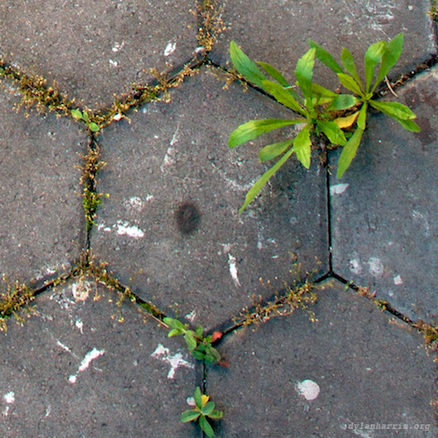 image: unlabelled image