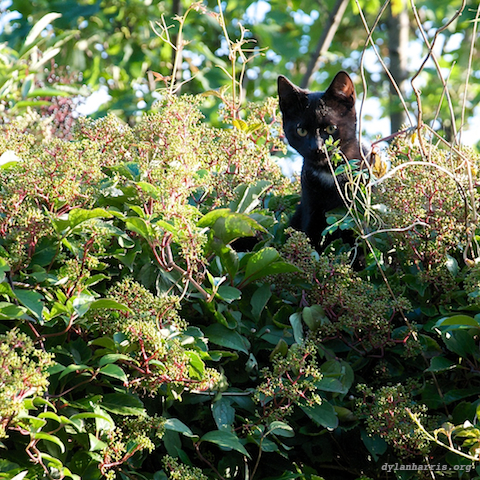 image: unlabelled image