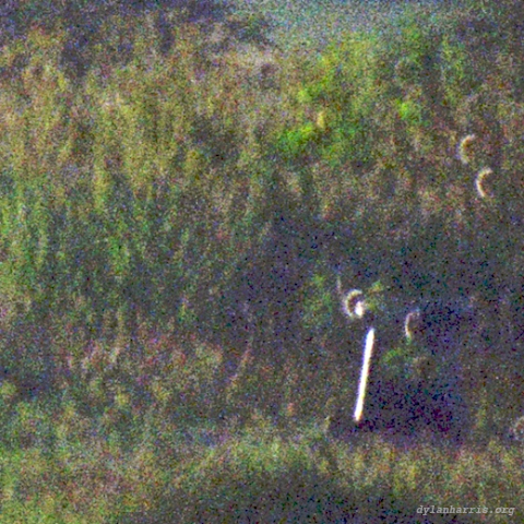 image: unlabelled image