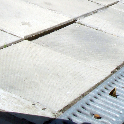 image: unlabelled image