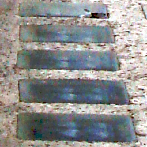 image: unlabelled image