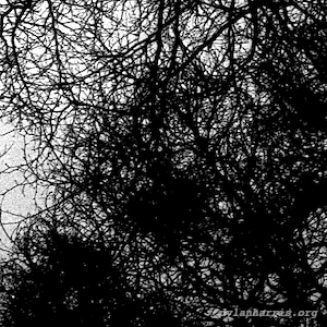 image: unlabelled image