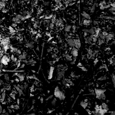 image: unlabelled image