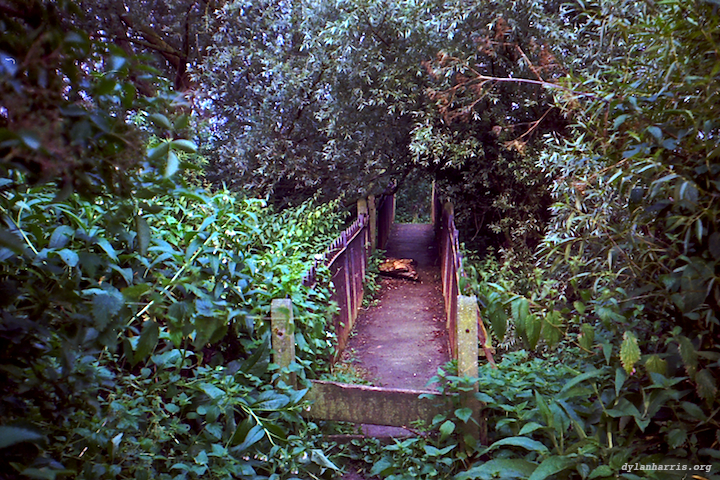 image: unlabelled image