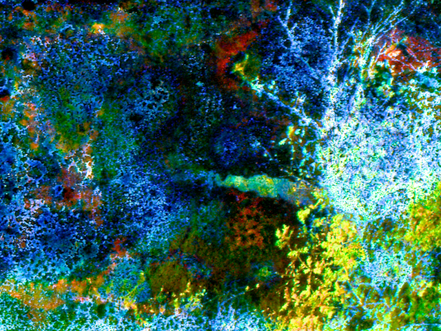 image: unlabelled image