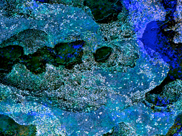 image: unlabelled image