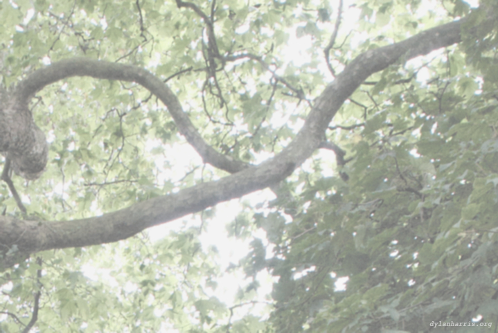 image: unlabelled image