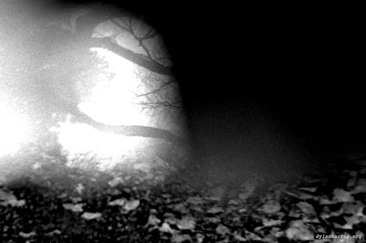 image: unlabelled image