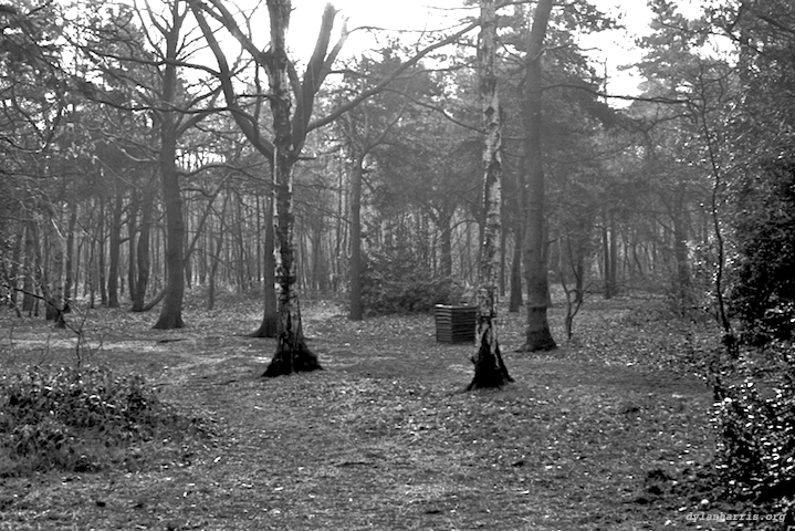 image: unlabelled image