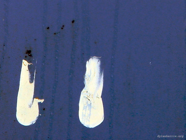 image: unlabelled image