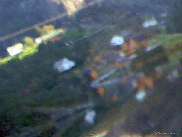 image: unlabelled image