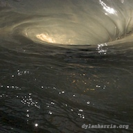 image: unlabelled image