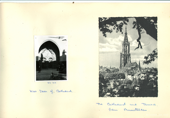 image: unlabelled image