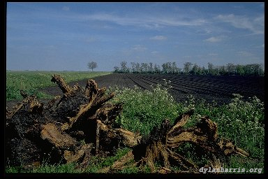 image: unlabelled image