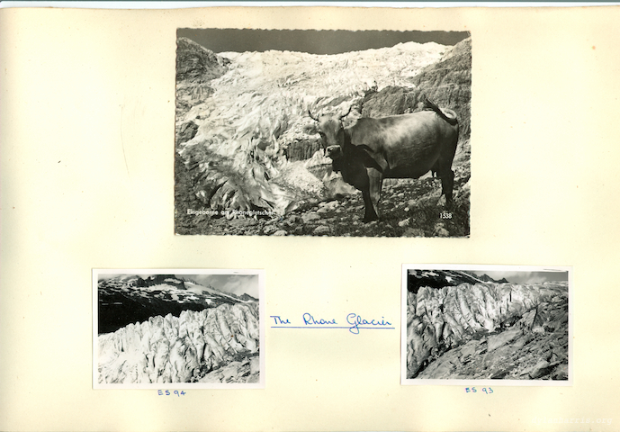 image: unlabelled image