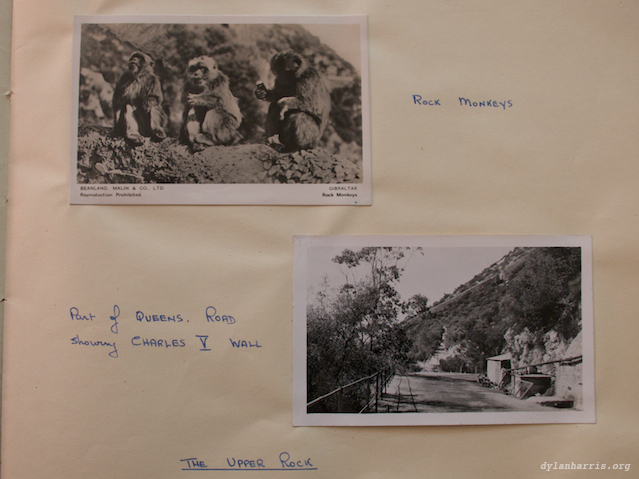 image: unlabelled image