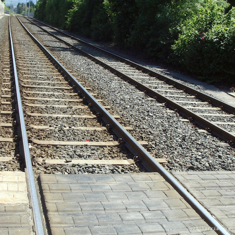 image: unlabelled image