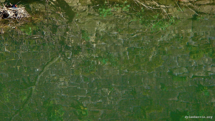 image: unlabelled image