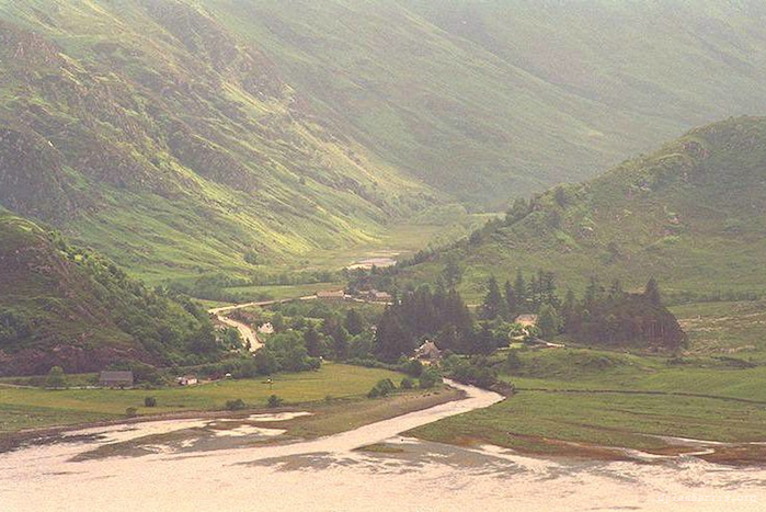 image: unlabelled image