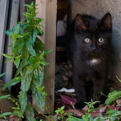 image: unlabelled image