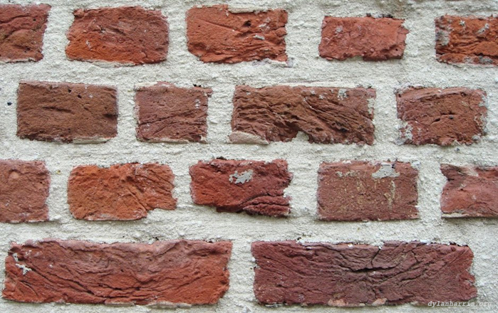 image: unlabelled image