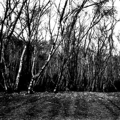 image: unlabelled image