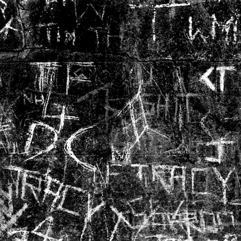 image: unlabelled image