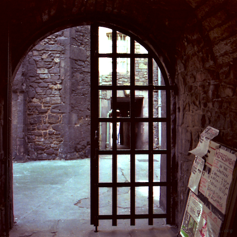 image: unlabelled image