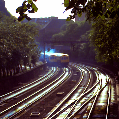 image: unlabelled image