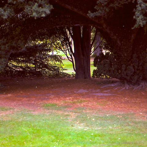 image: unlabelled image