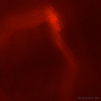 image: unlabelled image