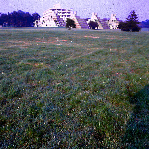 image: unlabelled image