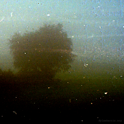 image: unlabelled image