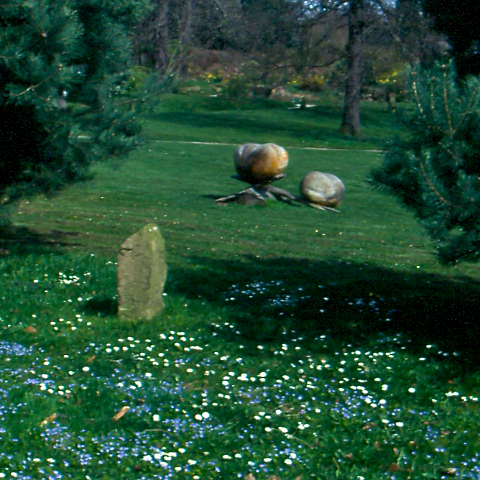 image: unlabelled image