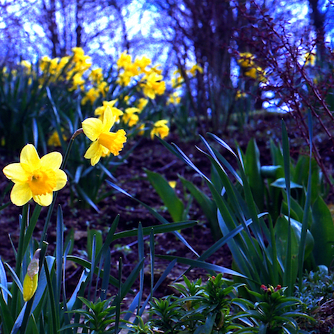 image: unlabelled image