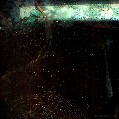 image: unlabelled image