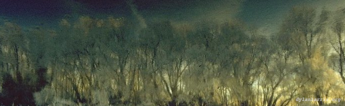 image: unlabelled image