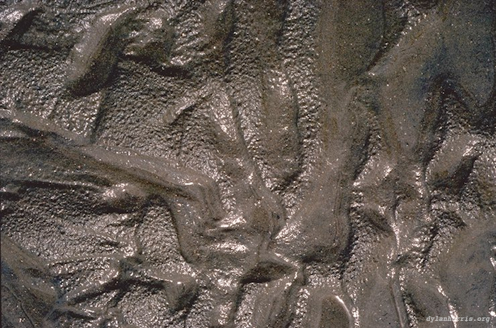 image: unlabelled image