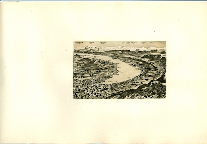 image: unlabelled image