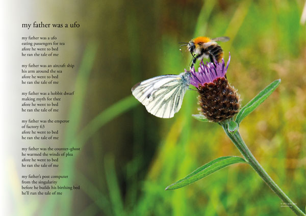 image: unlabelled image