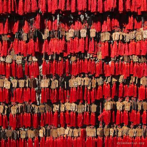 image: unlabelled image