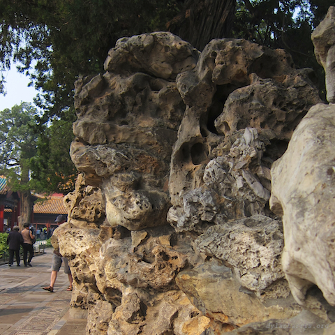 image: unlabelled image