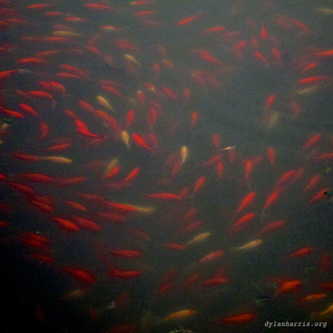 image: unlabelled image