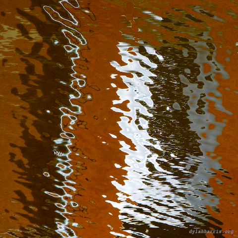 image: unlabelled image