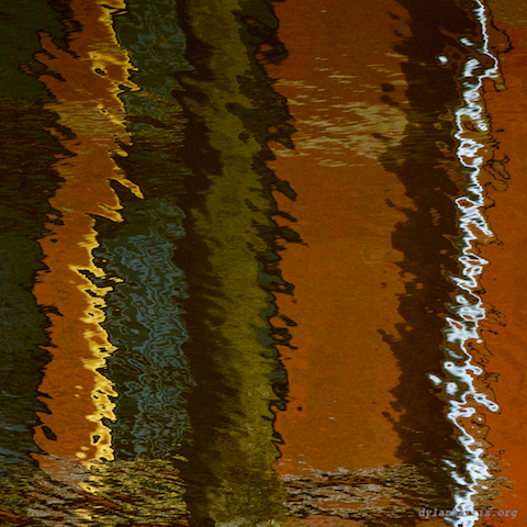 image: unlabelled image