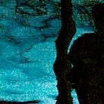 image: unlabelled image