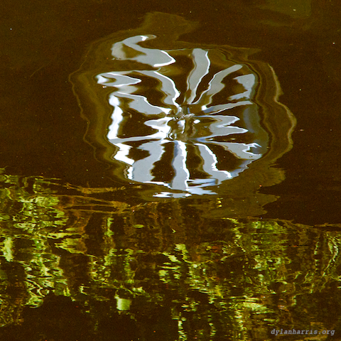 image: unlabelled image